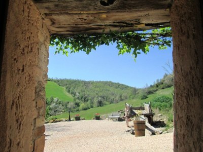 Apartment Countryside cottage in Pergola - Outdoor photo 40
