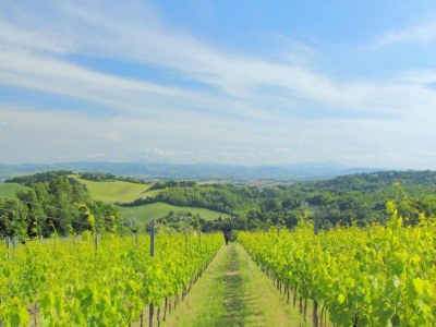 Apartment Kurzurlaub in den Sibillini-Hügeln - Environment photo 32