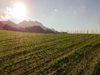 Holiday house Familien-Mühlenaufenthalt mit Grill - Environment photo 29