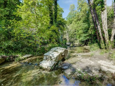 Holiday house Familien-Mühlenaufenthalt mit Grill - Environment photo 33
