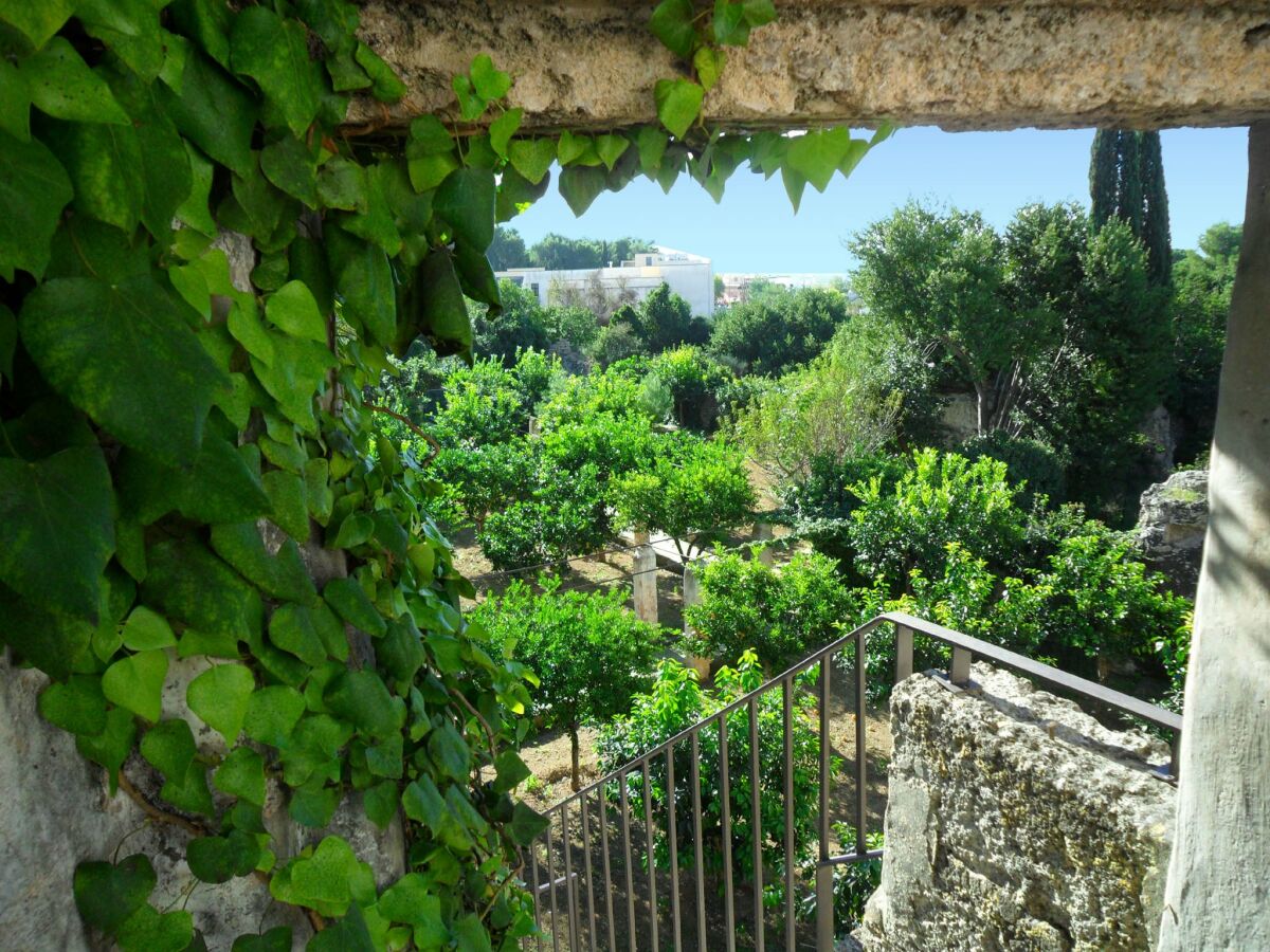 Holiday house Charming Home in Casarano with Garden - Outdoor photo 3