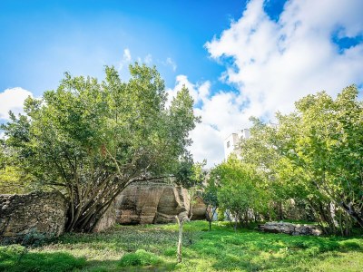 Holiday house Charming Home in Casarano with Garden - Outdoor photo 11