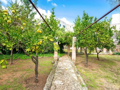 Holiday house Charming Home in Casarano with Garden - Outdoor photo 15