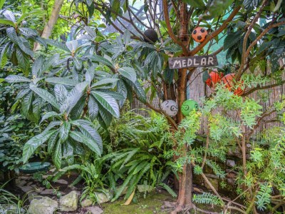 Cottage Mansion in Sorrento near the Beach - Outdoor photo 3