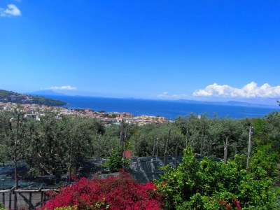 Cottage Mansion in Sorrento near the Beach - Outdoor photo 8