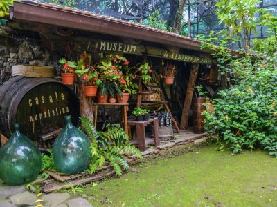 Cottage Mansion in Sorrento near the Beach - Outdoor photo 13