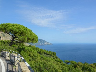 Cottage Villa in Sorrent nahe Marina Grande - Environment photo 39