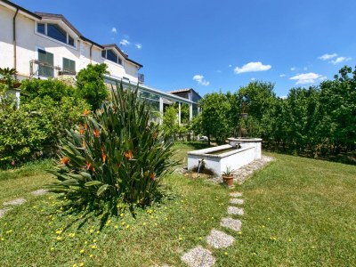 Holiday house Holiday Home in San Cipriano with Pool - Outdoor photo 3