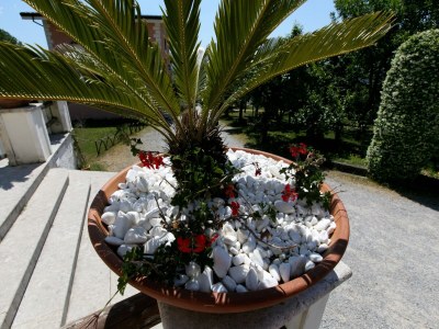 Holiday house Holiday Home in San Cipriano with Pool - Outdoor photo 40