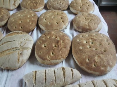 Farmhouse Haustierfreundliches Bauernhaus - Outdoor photo 37