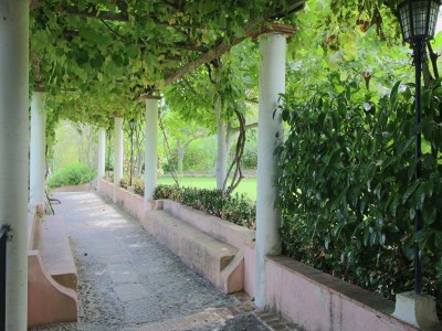 Apartment Wohnung in Parghelia an der Götterküste - Outdoor photo 40