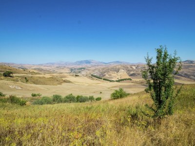 Farmhouse Rustic Sicilian Retreat with Spa - Environment photo 30