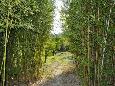 Holiday house Ferienhaus in Lido di Noto am Strand - Outdoor photo 31