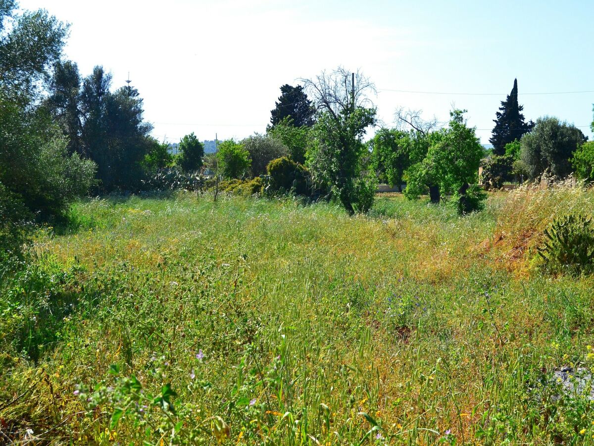 Holiday house Cottage in Sicily with Private Garden & BBQ - Outdoor photo 5