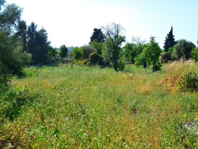 Holiday house Cottage in Sicily with Private Garden & BBQ - Outdoor photo 5
