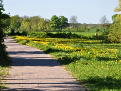 Holiday apartment Müritzzauber - EG - Environment photo 16