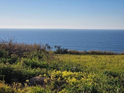 Villa Oceanview Cliff Retreat - Environment photo 32