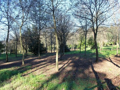 Holiday house Cottage in Santa Comba with Pool - Environment photo 30