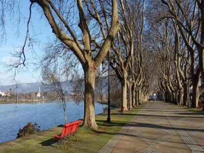 Holiday house Cottage in Santa Comba with Pool - Environment photo 33