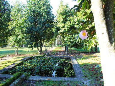 Holiday house Santa Comba Garden Cottage - Outdoor photo 12