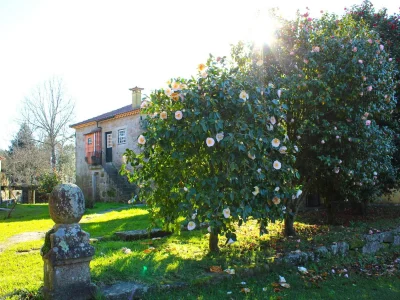 Holiday house Santa Comba Garden Cottage - Outdoor photo 14