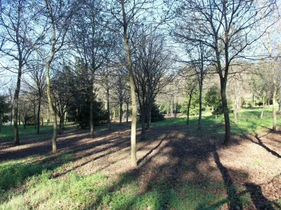 Holiday house Santa Comba Garden Cottage - Environment photo 34