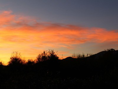 Holiday house Santa Comba Garden Cottage - Environment photo 35