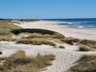 Holiday house Santa Comba Garden Cottage - Environment photo 37