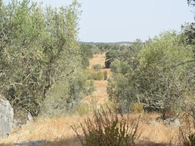 Villa Ruhige Alentejo-Villa mit Pool - Outdoor photo 9