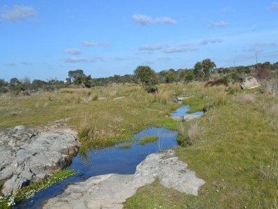 Villa Ruhige Alentejo-Villa mit Pool - Environment photo 32