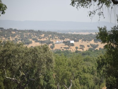 Villa Ruhige Alentejo-Villa mit Pool - Environment photo 34