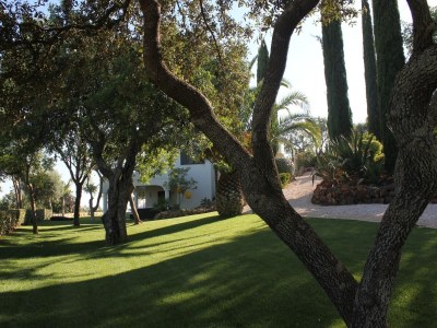 Villa Luxurious Villa in Silves with Swimming Pool - Outdoor photo 13