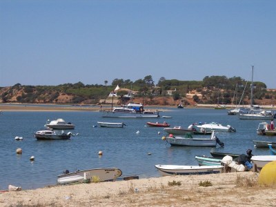 Holiday house Gorgeous Holiday Home with Swimming Pool - Environment photo 34