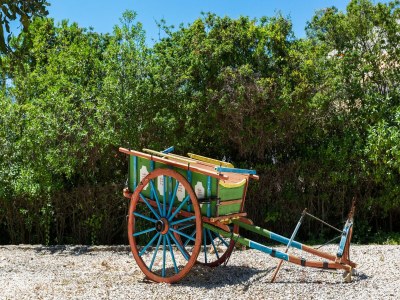 Holiday house Gorgeous Holiday Home with Swimming Pool - Outdoor photo 38
