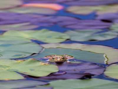 Villa Luxurious Villa in Monchique with Private Pool - Outdoor photo 9