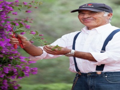 Villa Luxurious Villa in Monchique with Private Pool - Outdoor photo 40