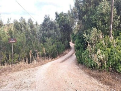 Apartment Apartment in Lagos with Stunning Sea Views - Environment photo 35