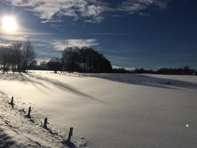 Holiday house Holiday Home in Saint Vith with Terrace - Environment photo 36