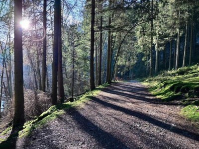 Holiday house Ferienhaus in Ardennen mit Terrasse - Environment photo 22