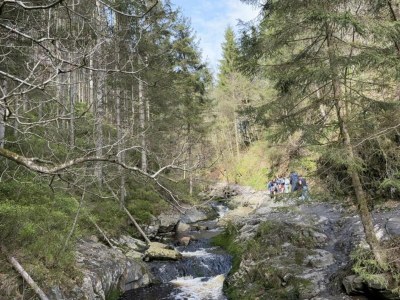 Holiday house Ferienhaus in Ardennen mit Terrasse - Environment photo 28
