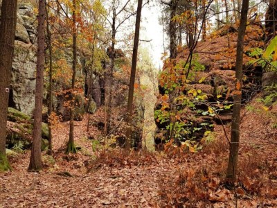 Apartment chicke Ferienwohnung in Struppen - Environment photo 35