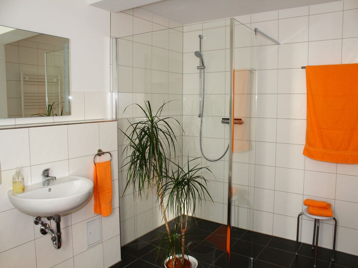 Apartment Ferienwohnung in Struppen - Features photo 2