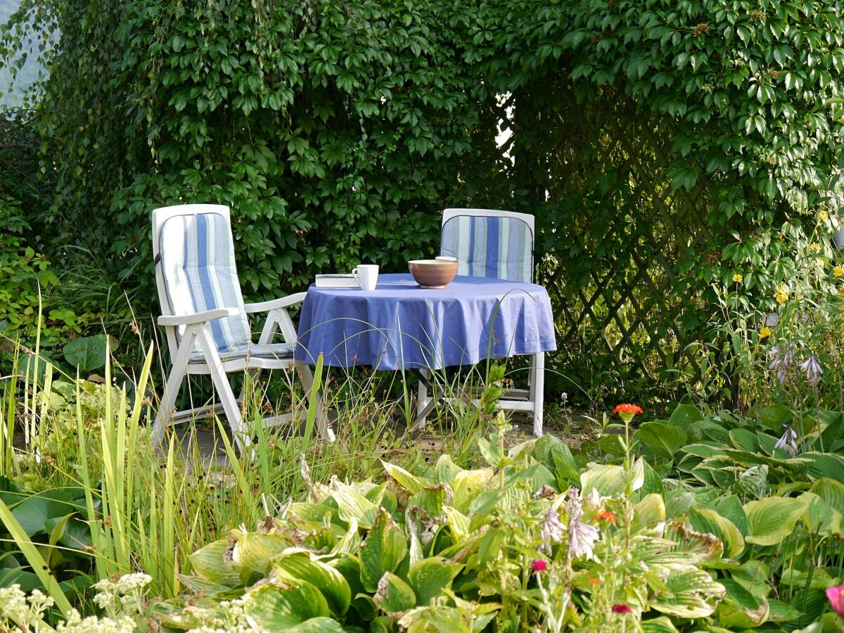 Apartment Ferienwohnung in Löwensen mit eigener Terrasse - Outdoor photo 2