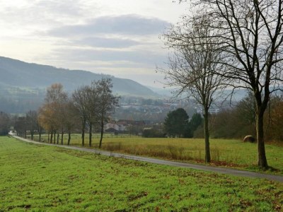Apartment Ferienwohnung in Löwensen mit eigener Terrasse - Environment photo 23
