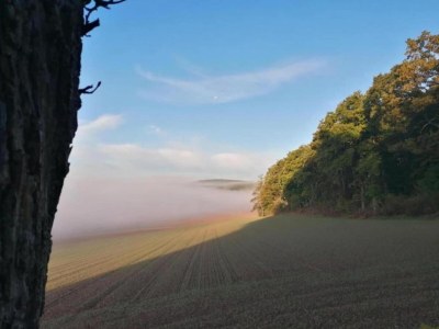 Apartment Ferienwohnung in Löwensen mit eigener Terrasse - Environment photo 26
