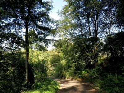 Apartment Ferienwohnung in Löwensen mit eigener Terrasse - Environment photo 27