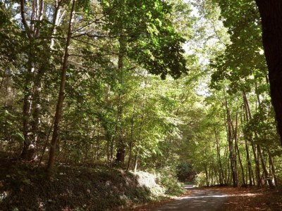 Apartment Ferienwohnung in Löwensen mit eigener Terrasse - Environment photo 28