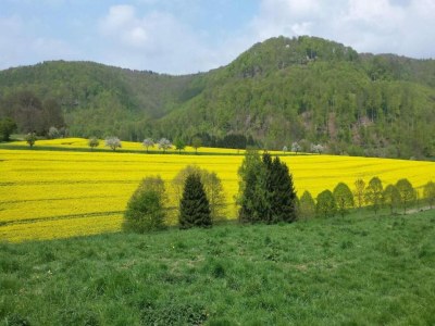 Apartment Ferienwohnung in Löwensen mit eigener Terrasse - Environment photo 30