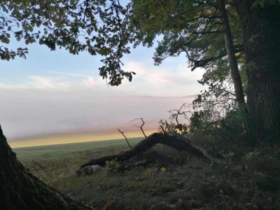 Apartment Ferienwohnung in Löwensen mit eigener Terrasse - Environment photo 32
