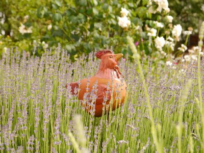 Apartment Ferienwohnung in Löwensen mit eigener Terrasse - Outdoor photo 34